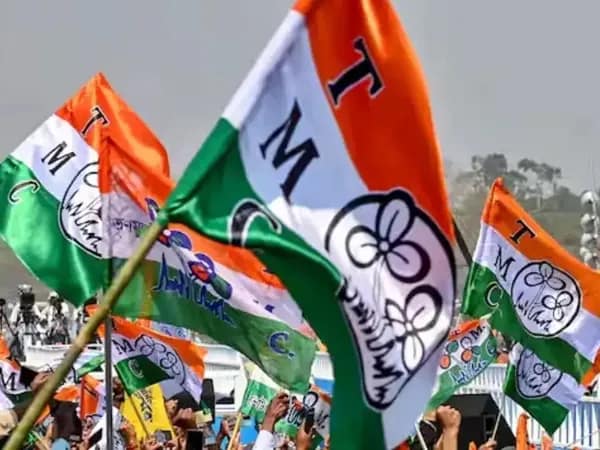 নির্বাচনে জিতলেও মন্ত্রিত্ব বা সরকারি পদ পাবেন না পার্থ, সুপ্রিম কোর্টের রায় নিয়ে জোর চর্চা তৃণমূলের অন্দরে