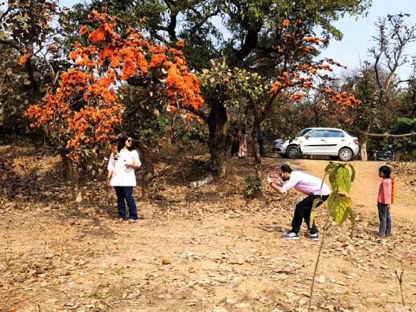 বসন্তের পলাশে রঙিন পুরুলিয়া, ভিড় বাড়ছে পর্যটকদের
&nbsp;