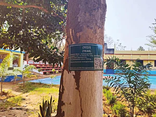 ঝাড়গ্রামে গাছে লাগানো কোড স্ক্যান করলেই মিলবে অক্সিজেন, কার্বন ডাই অক্সাইডের তথ্য