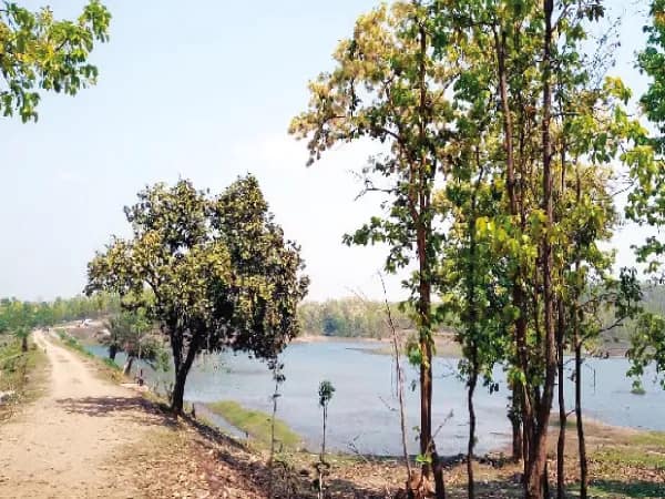 পর্যটকদের এবার নয়া ডেস্টিনেশন আগুইবিল