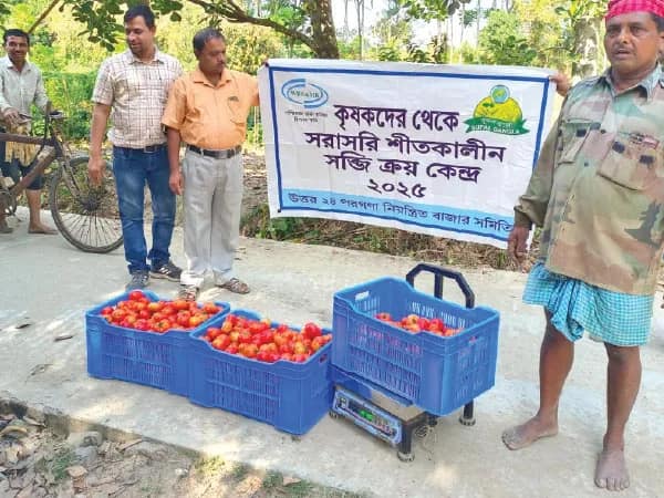 ৯ টাকা কেজি দরে টম্যাটো কিনে সস বানাচ্ছে কৃষি বিপণন দপ্তর