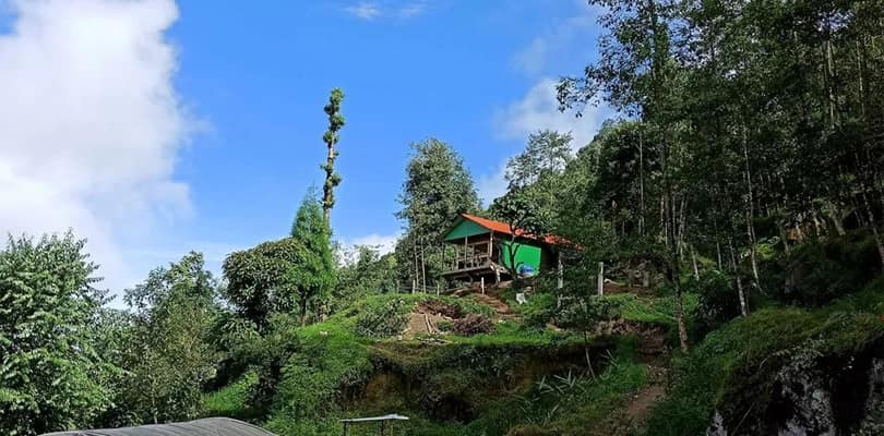 gallery-4