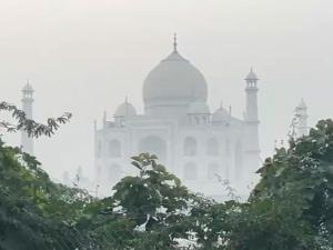 কুয়াশার চাদরে ঢাকা পড়েছে তাজমহল