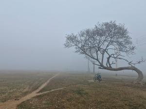 ঘন কুয়াশায় ঢাকা শান্তিনিকেতন